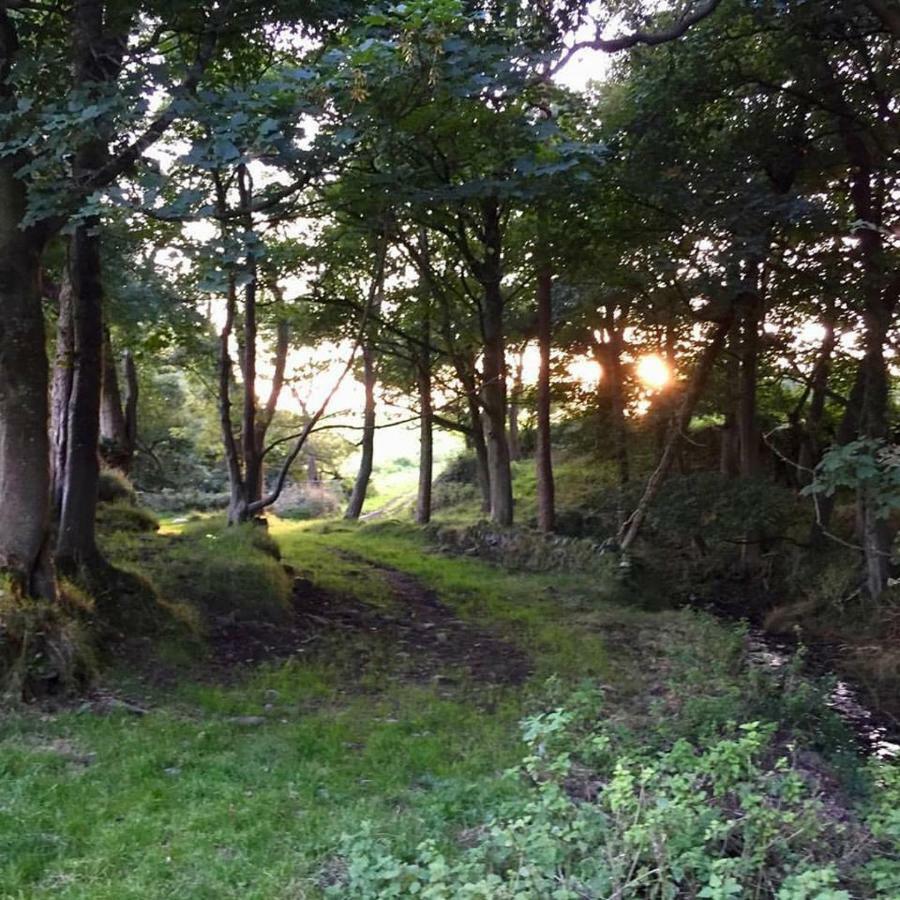 Cwm Connell Coastal Cottages Moylgrove Luaran gambar